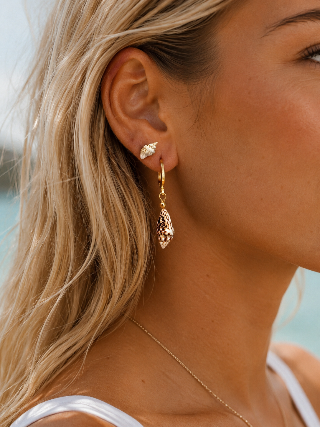 The Coastal Collection