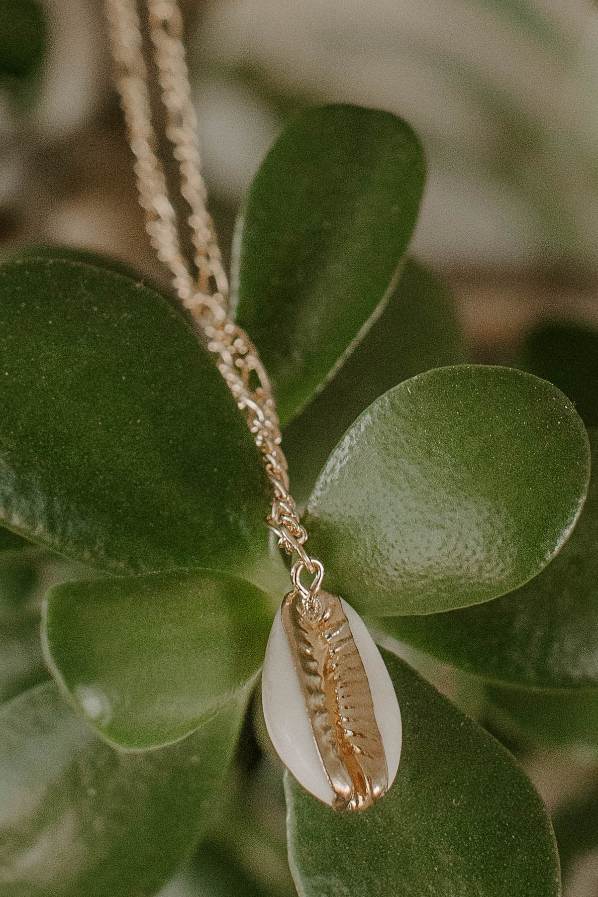 Gold Dipped Cowrie Shell Necklace