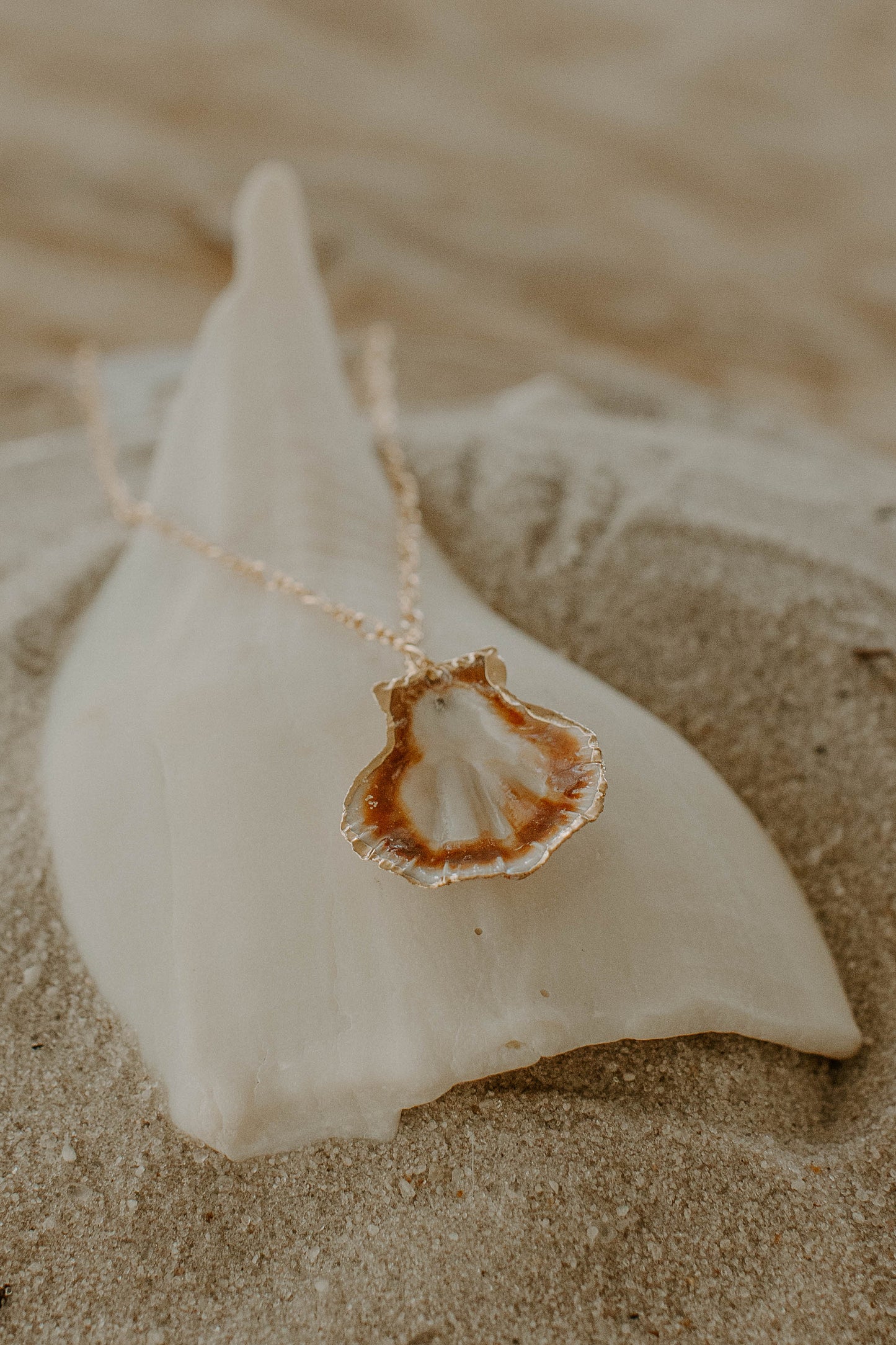 Gold Dipped Scallop Shell Necklace