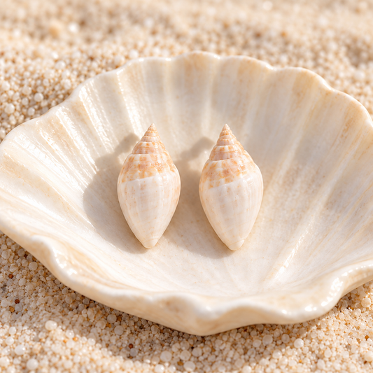 Stud Shell Earrings